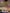 1769154307724.IMG 20260123 144453 517