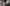 IMG 1661