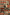 ChatGPT Image 25 Jul 2026 12.15.59